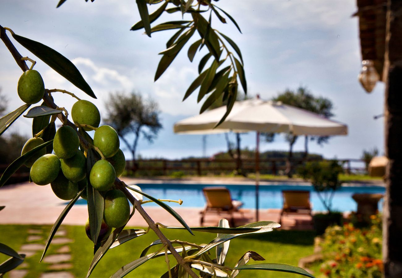 pool surrounded by olive trees, casale la torre, holiday apartments near sorrento, massa lubrense, italy