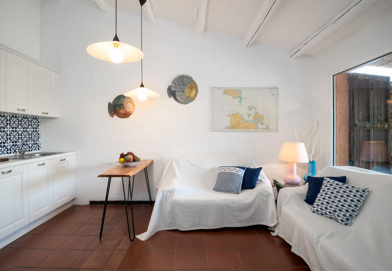 Apartment in Porto Rotondo - Caletta 53